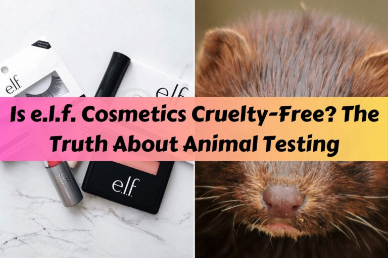 Is e.l.f. Cosmetics Cruelty-Free