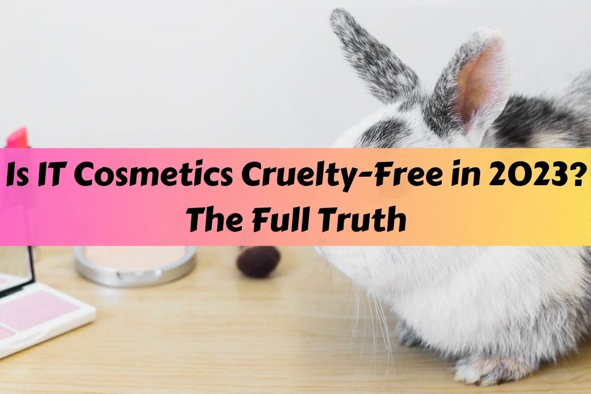 Is IT Cosmetics Cruelty-Free in 2023